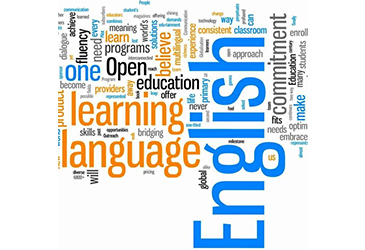 Ingilizce Ozel Ders LGS Ilkogretim