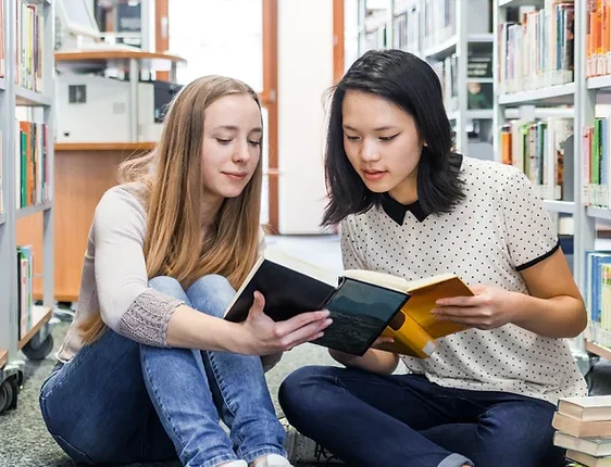 quantum egitim kariyer banner 1